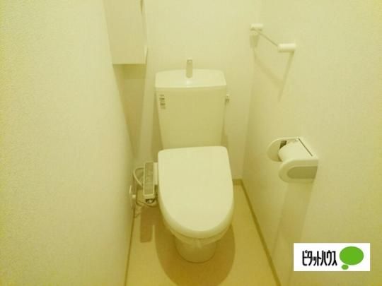 �y���̑��z�@�g�C��