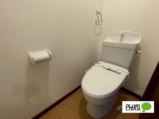 �y���̑��z�@�g�C��