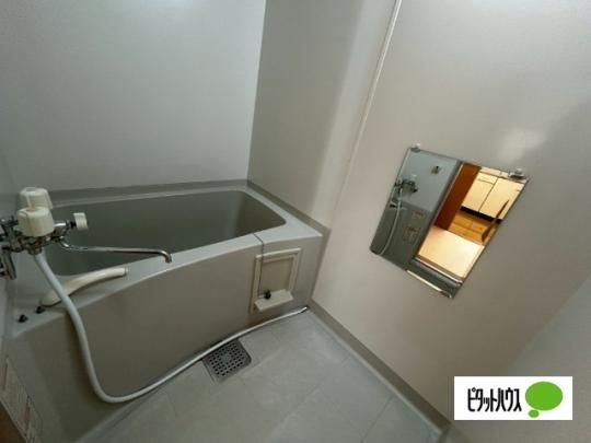 �y���̑��z�@�o�X�^�V�����[