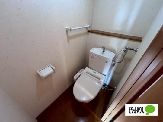 �y���̑��z�@�g�C��