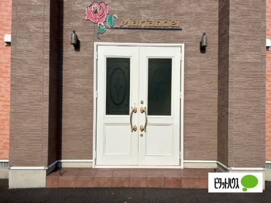 �y�����O�ρz�@�G���g�����X