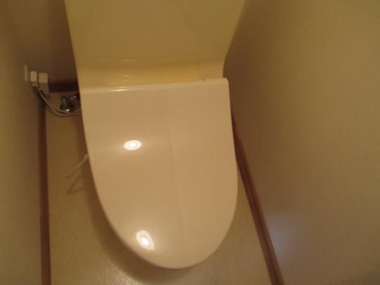 �y���̑��z�@�g�C��