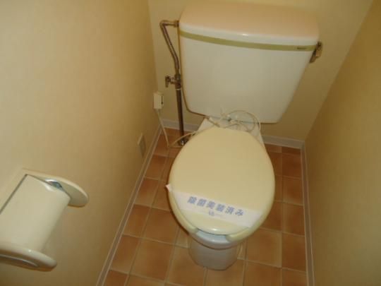 �y���̑��z�@�g�C��