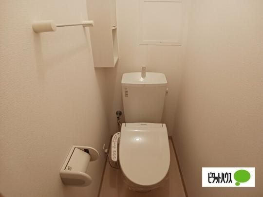 �y���̑��z�@�g�C��