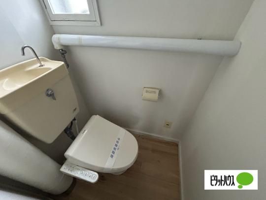 �y���̑��z�@�g�C��
