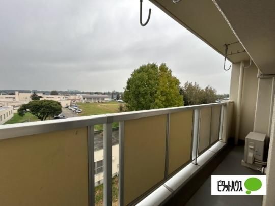 �y���̑��z�@�o���R�j�[