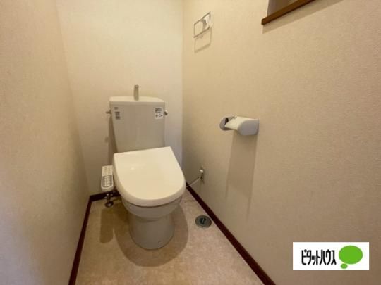 �y���̑��z�@�g�C��