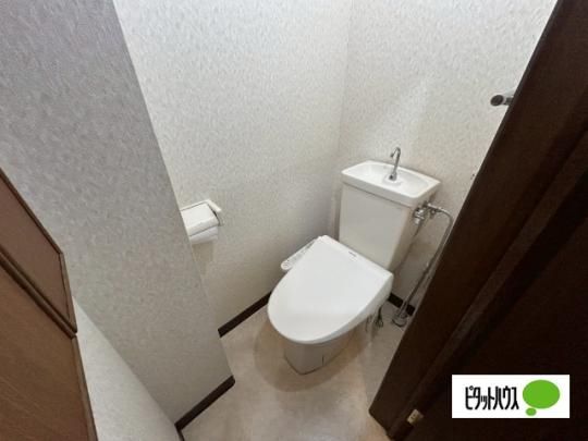 �y���̑��z�@�g�C��
