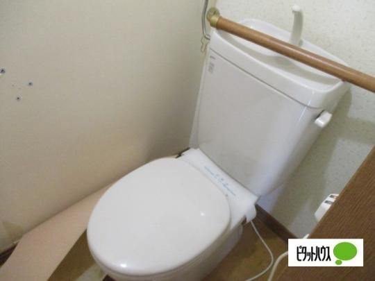 �y���̑��z�@�g�C��