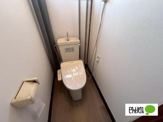 �y���̑��z�@�g�C��