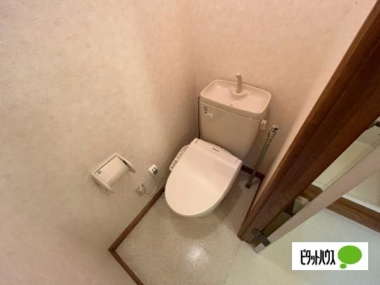 �y���̑��z�@�g�C��