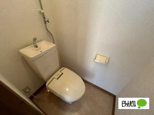 �y���̑��z�@�g�C��