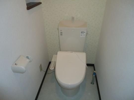 �y���̑��z�@�g�C��
