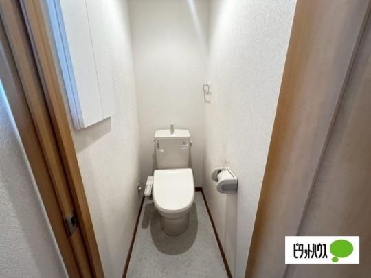 �y���̑��z�@�g�C��