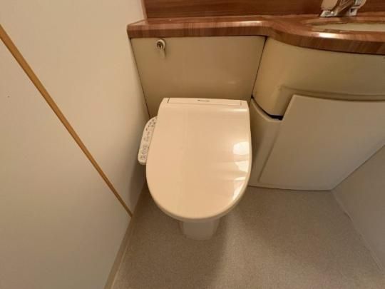 �y���̑��z�@�g�C��