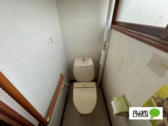 �y���̑��z�@�g�C��