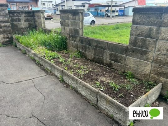 �y���̑��z�@�o���R�j�[