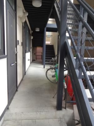 �y�����O�ρz�@�G���g�����X