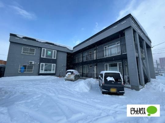 �T���V���C�������[��