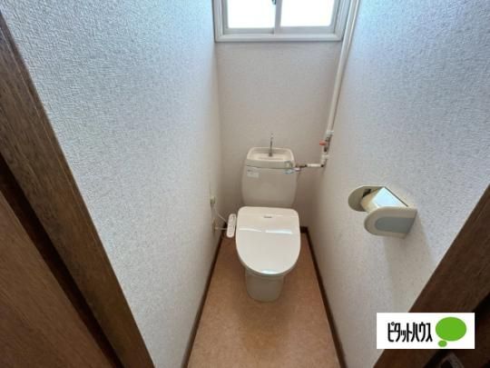 �y���̑��z�@�g�C��