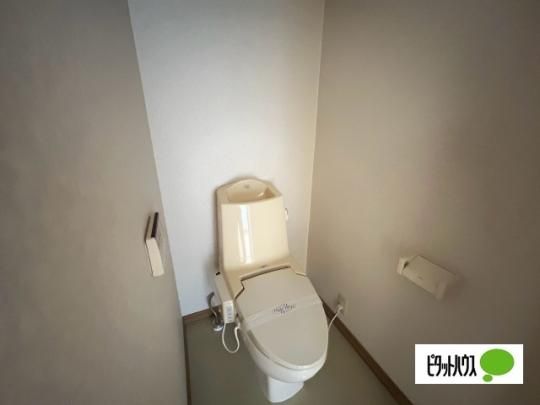 �y���̑��z�@�g�C��