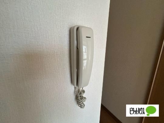 �y���̑��z�@�Z�L�����e�B
