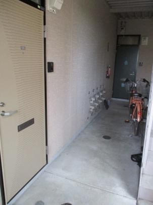 �y�����O�ρz�@�G���g�����X