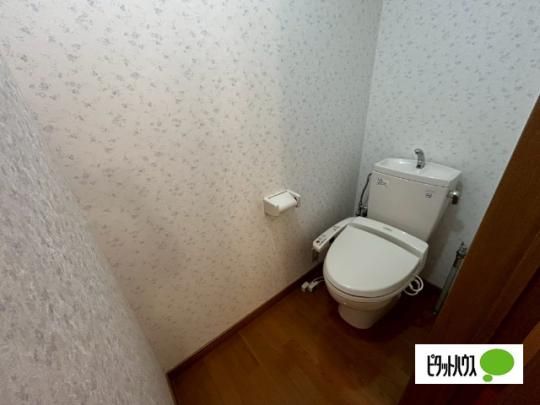 �y���̑��z�@�g�C��