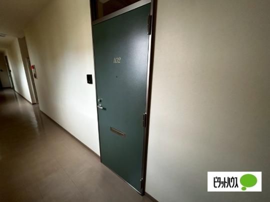 �y���̑��z�@�G���g�����X