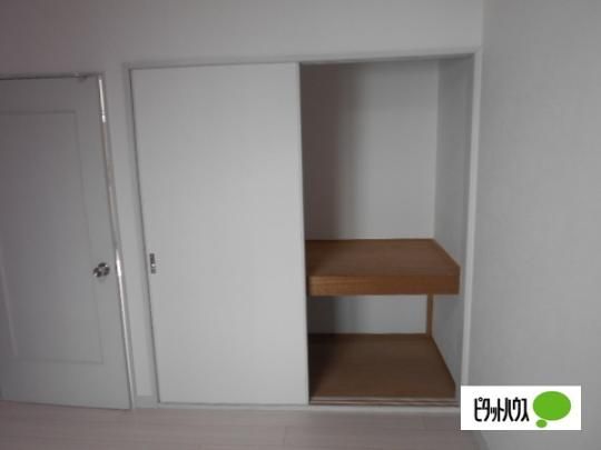 �y���̑��z�@���[
