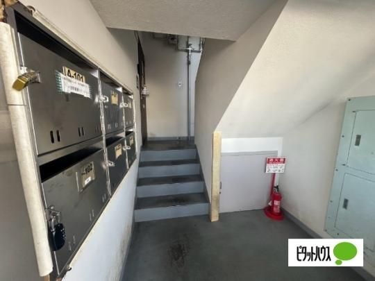�y�����O�ρz�@���r�[