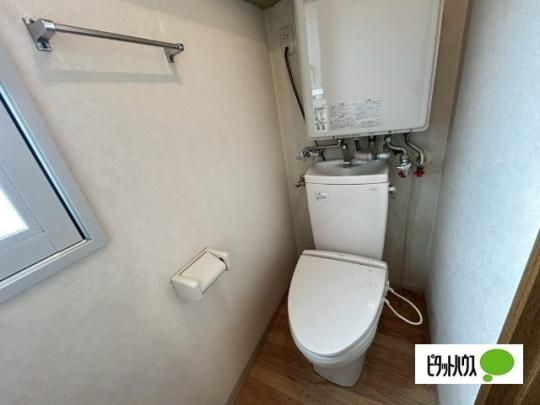 �y���̑��z�@�g�C��