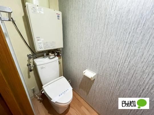 �y���̑��z�@�g�C��