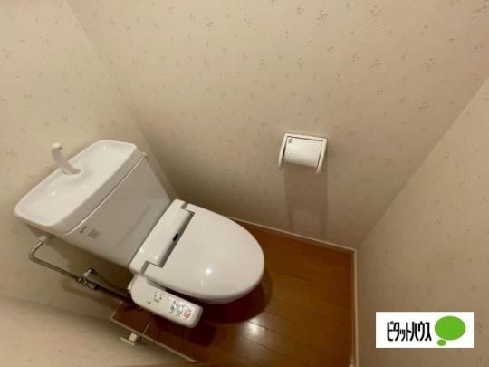 �y���̑��z�@�g�C��