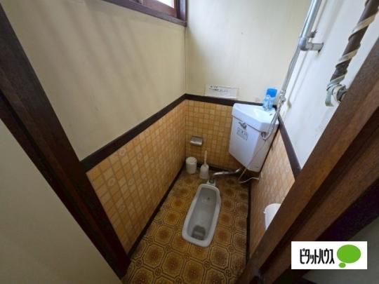 �y���̑��z�@�g�C��