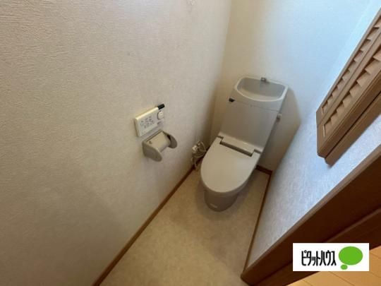 �y���̑��z�@�g�C��