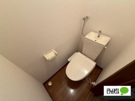 �y���̑��z�@�g�C��