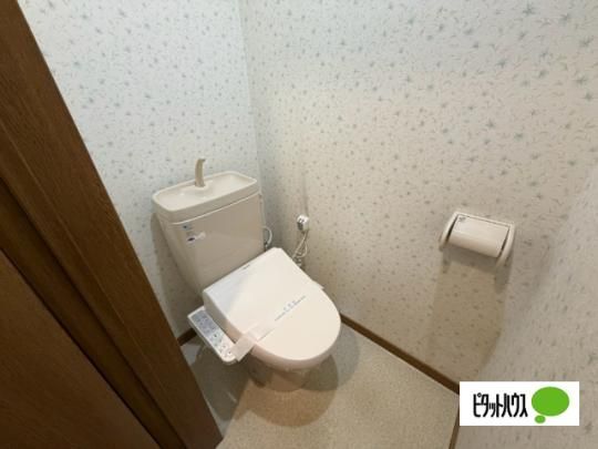 �y���̑��z�@�g�C��