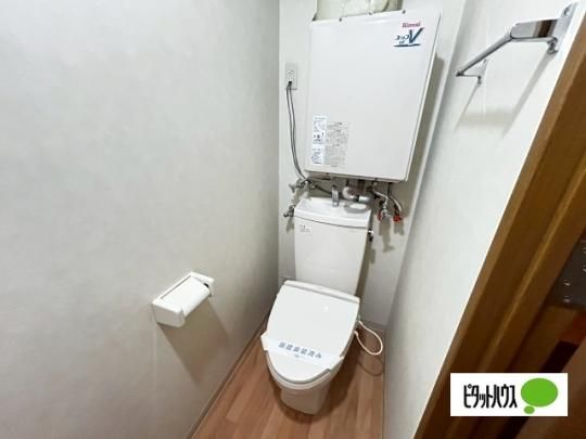 �y���̑��z�@�g�C��