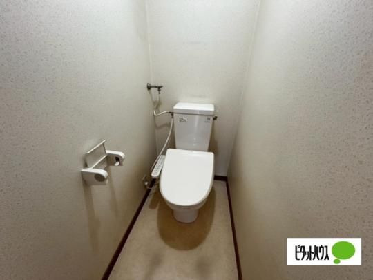 �y���̑��z�@�g�C��
