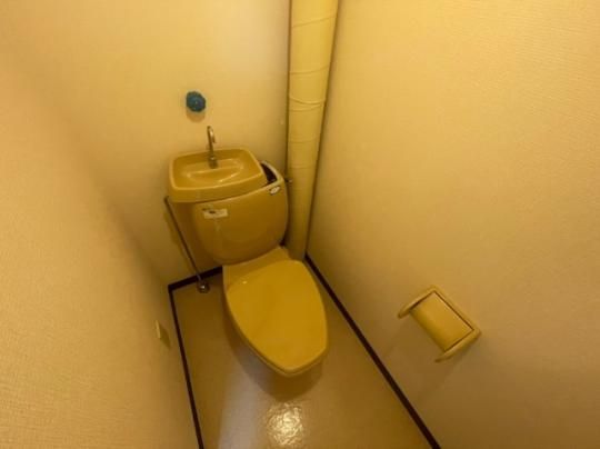 �y���̑��z�@�g�C��