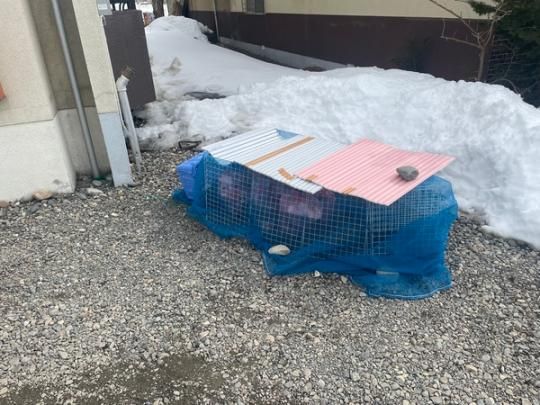 �y�����O�ρz�@���L����