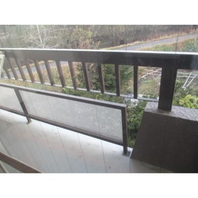 �y���̑��z�@�o���R�j�[