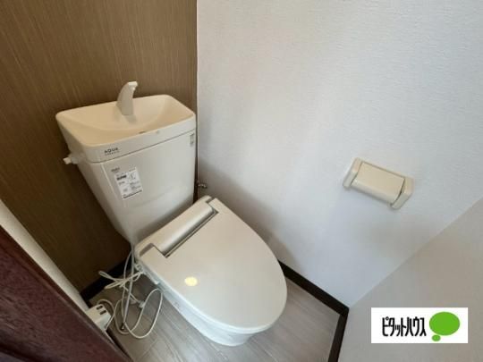 �y���̑��z�@�g�C��