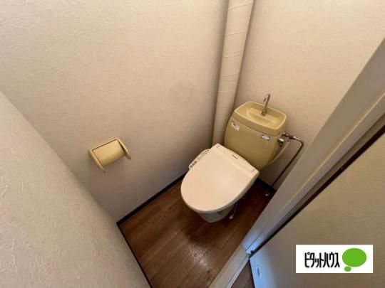 �y���̑��z�@�g�C��