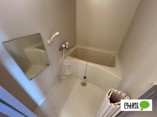 �y���̑��z�@�o�X�^�V�����[