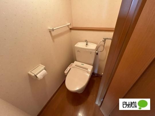 �y���̑��z�@�g�C��