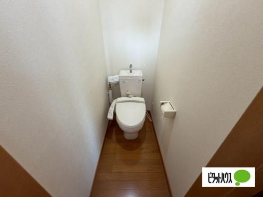 �y���̑��z�@�g�C��