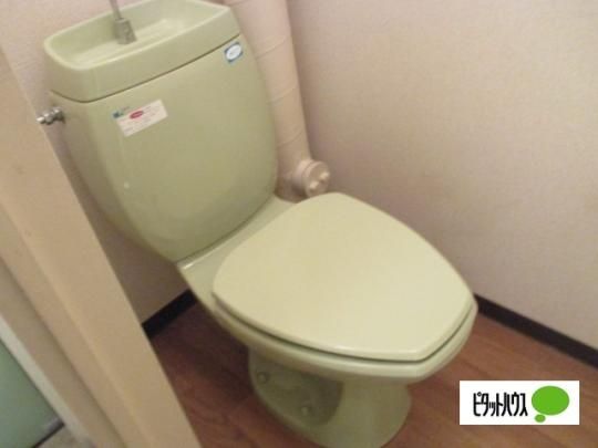 �y���̑��z�@�g�C��