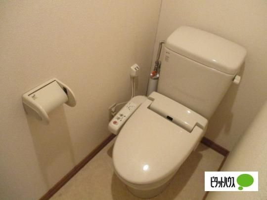 �y���̑��z�@�g�C��